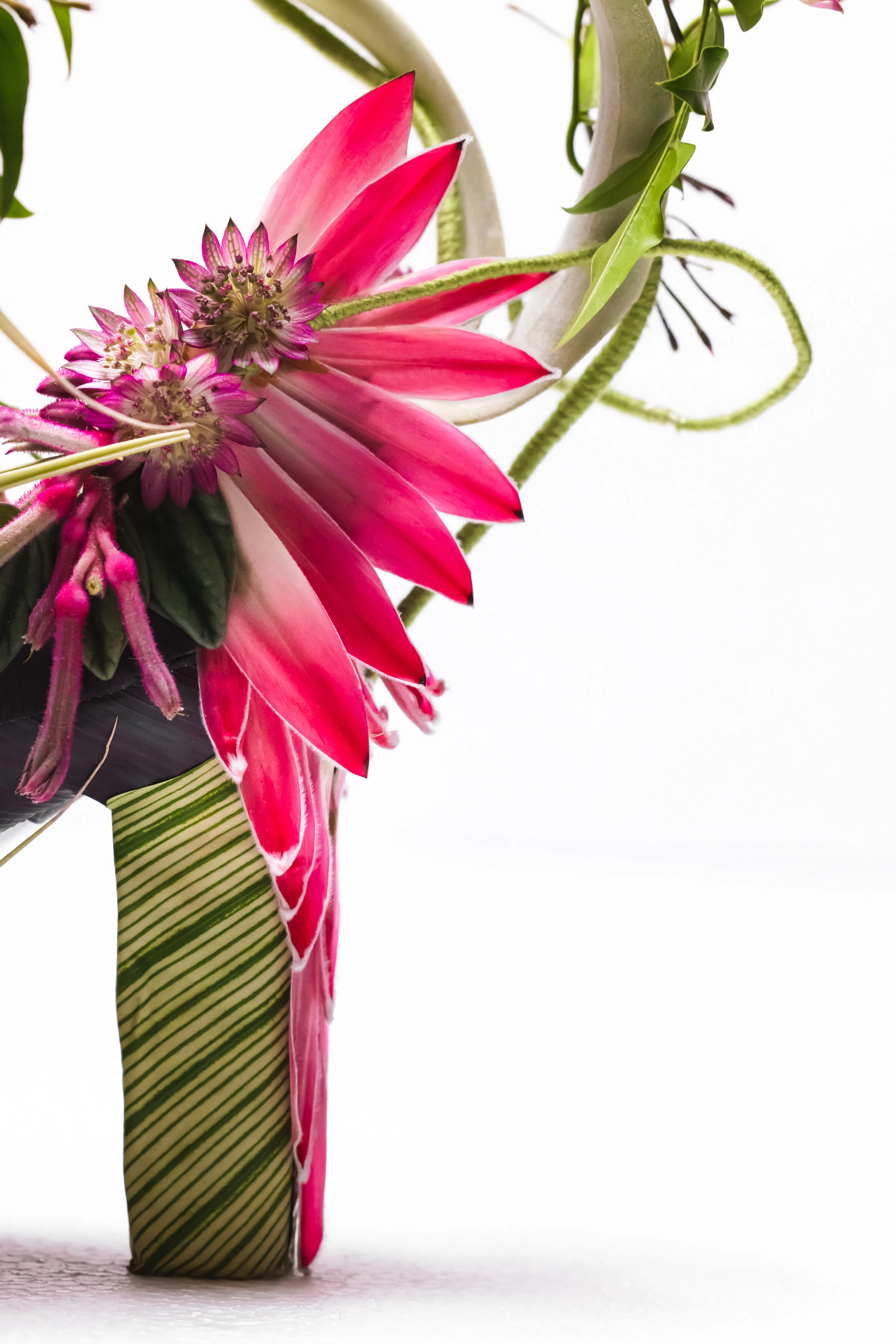 【willfully】big flower print OP wt_front_latest_af436210-bdd9-